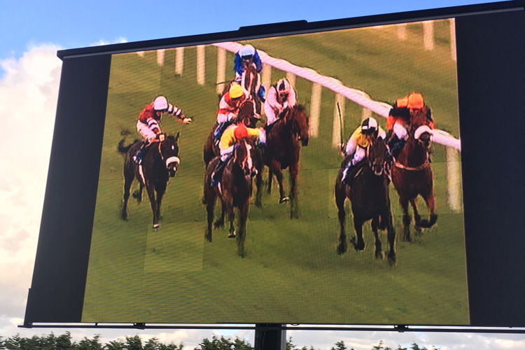 Giant screen Day at the Races